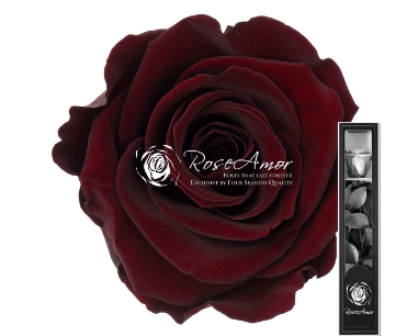 Preserved rose Chocolate