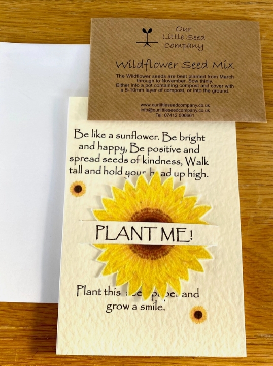 Seeded greetings card   Friendship Sunflower