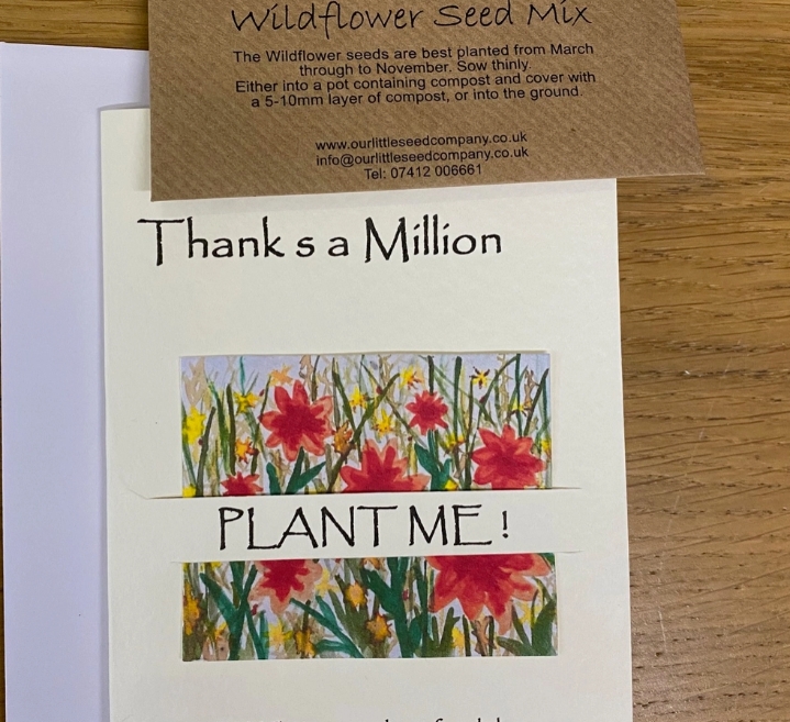 Seeded greetings card Thank You Millions