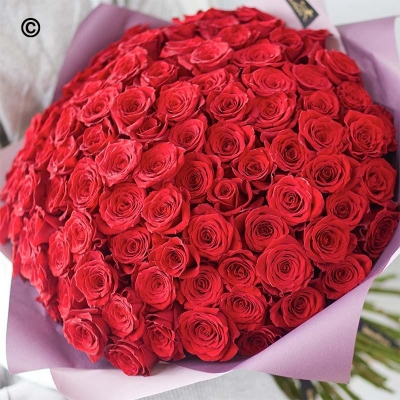 100 Large headed Red Rose Handtied