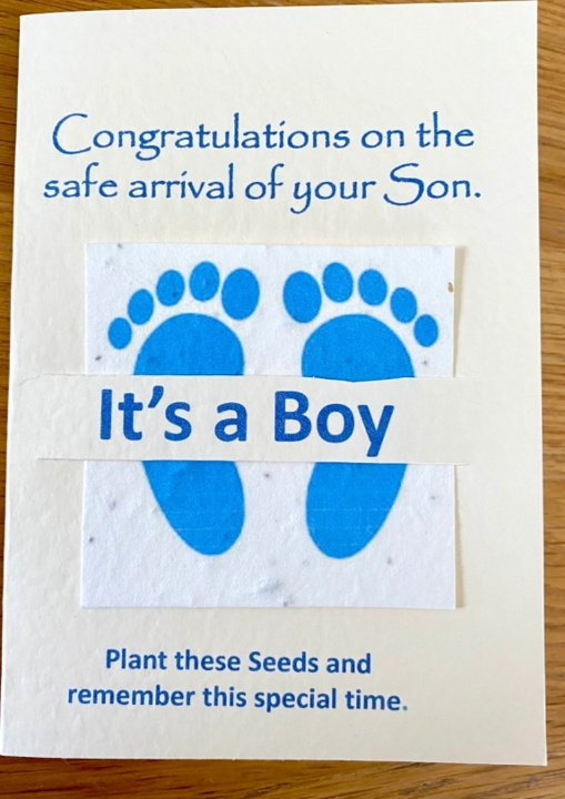 Seeded Baby Card