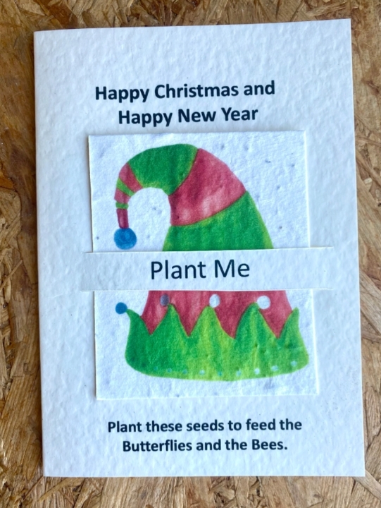 Seeded Christmas Card