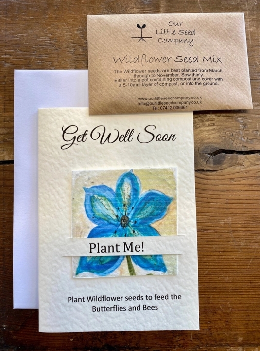 Seeded Get Well Cards