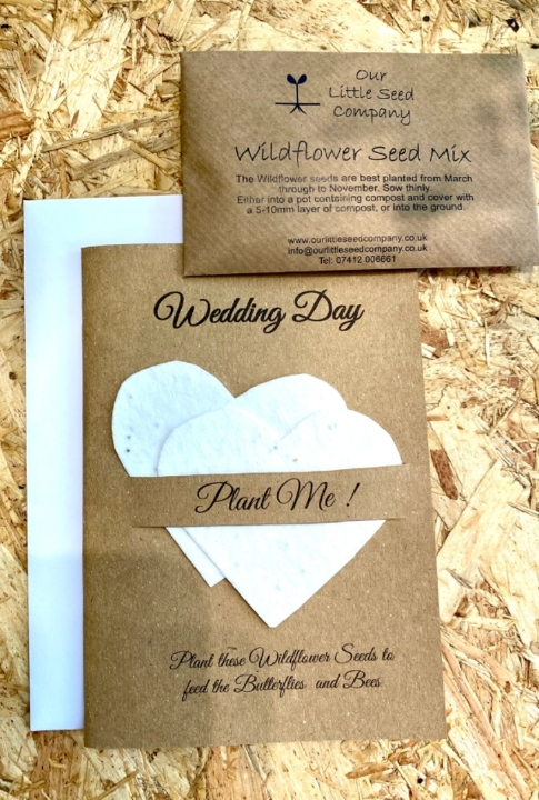 Seeded Wedding Cards