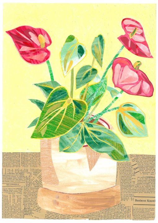 Anthurium Greetings Card