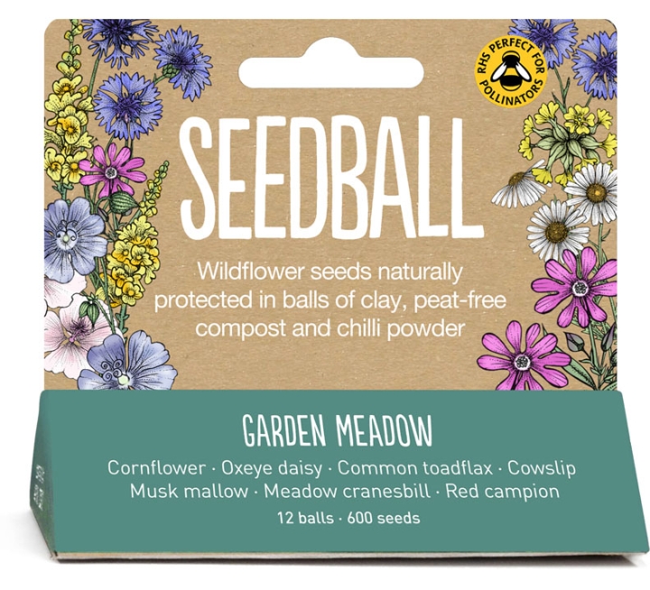 Seedball box Garden meadow mix