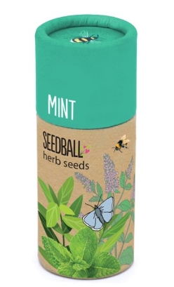 Seedball tube   Mint