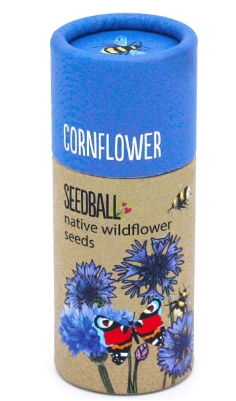 Seedball tube Cornflower