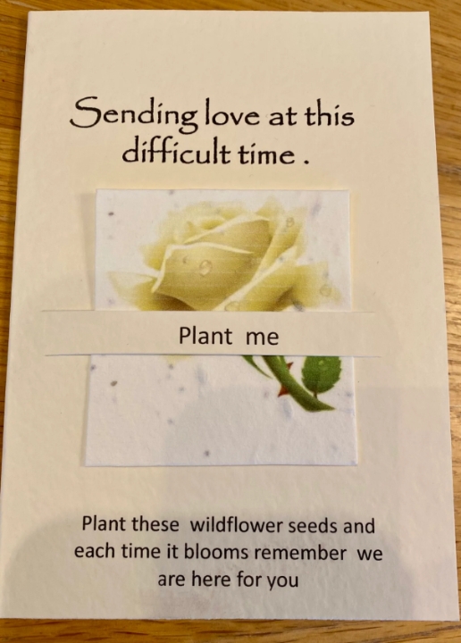 Seeded greetings card Thinking of You White Rose