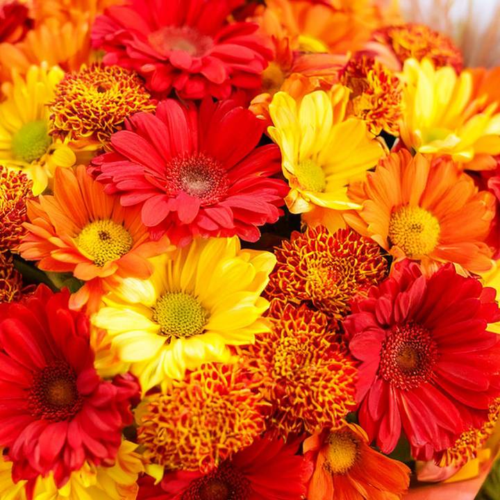 Florist Choice Seasonal (Autumn)