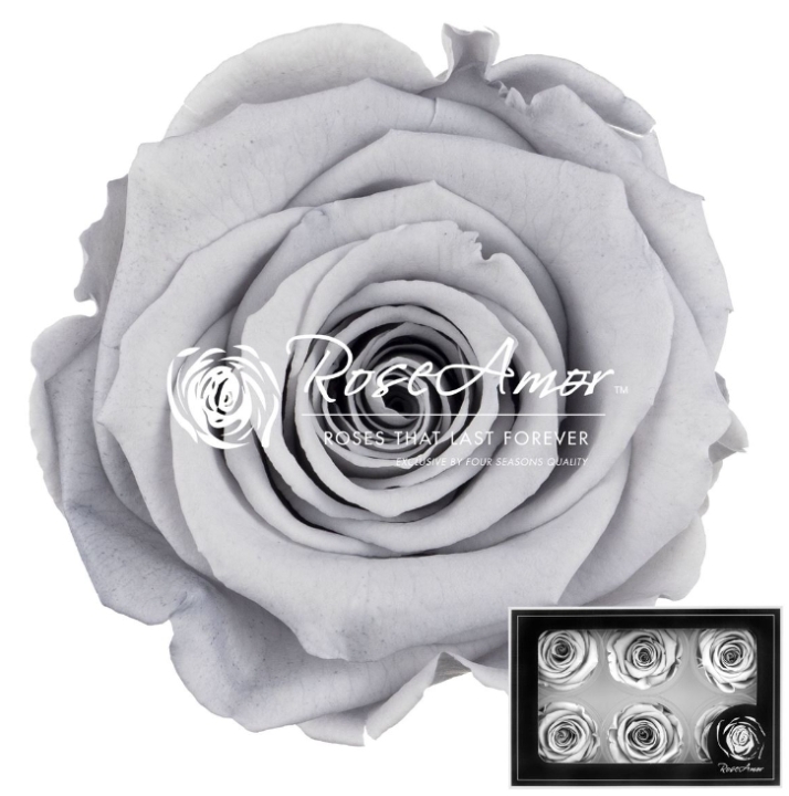 Preserved rose 70 cm   Grey
