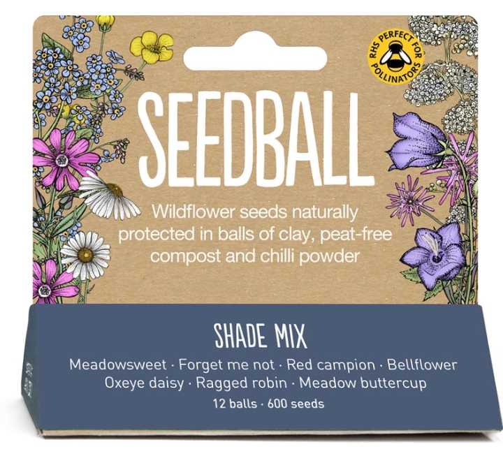 Seedball box Shade mix