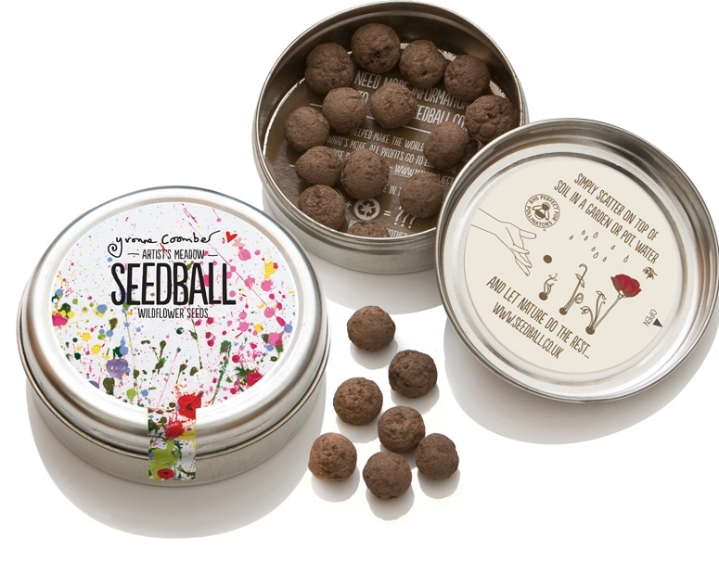 Seedball tin   Artist meadow