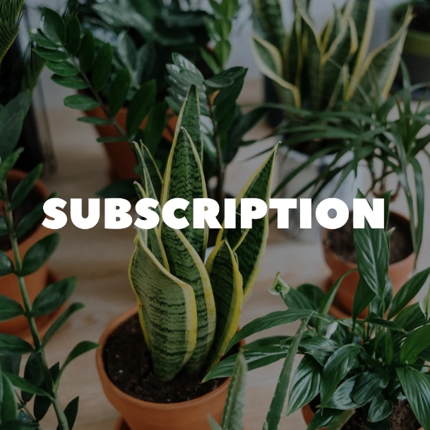 Subscription plants